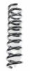 SPIDAN 85606 Coil Spring